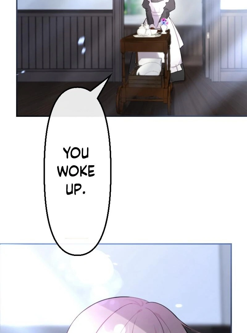 67885420 800 1080 55358